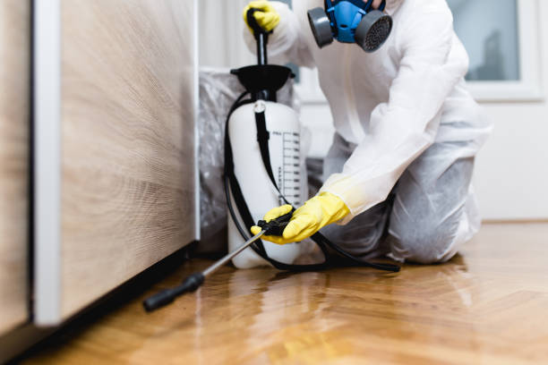 Best Pest Removal Services  in Oakley, UT